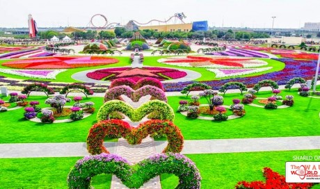 Ten of the best parks in the UAE
