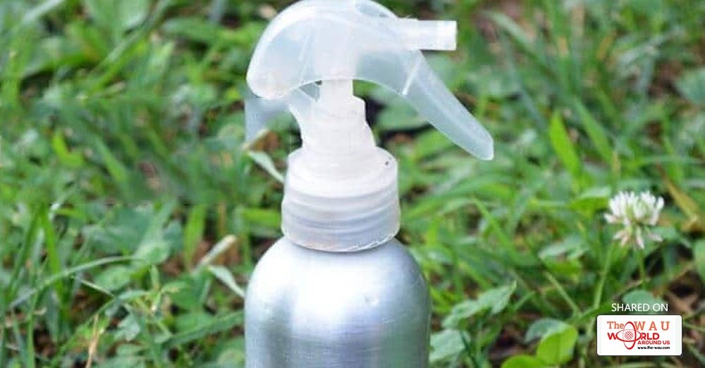 Diy Hair Growth Serum Recipe Blog Health Wau