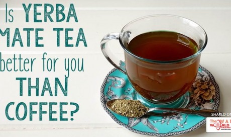 Is Yerba Mate Tea Better for You Than Coffee?