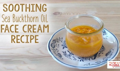 Soothing Sea Buckthorn Face Cream Recipe (For Oily Skin)