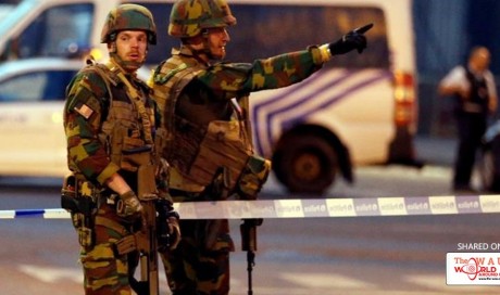 Brussels Central station: Blast suspect shot dead