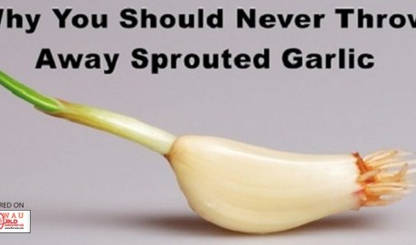 Warning: Never Throw Away Sprouting Garlic, Here'S Why