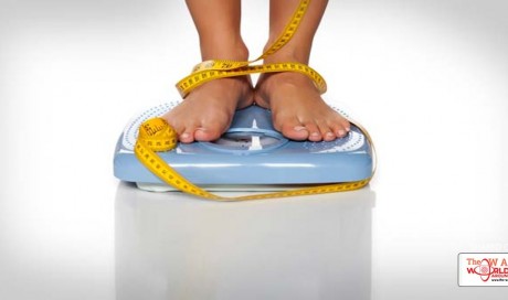 Change Eating Schedule To Lose Your Weight: Research