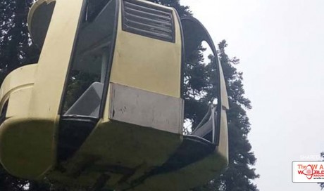 5 Killed As Tree Falls Between Cable Car Towers In Jammu And Kashmir's Gulmarg