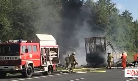 18 killed in German bus crash