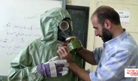 Syrian Army Achieves Victories Without Use of Chemical Weapons – Minister