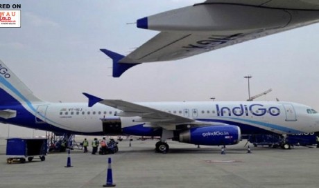 5 Injured As Jet Blast Breaks IndiGo Bus Window At Delhi Airport