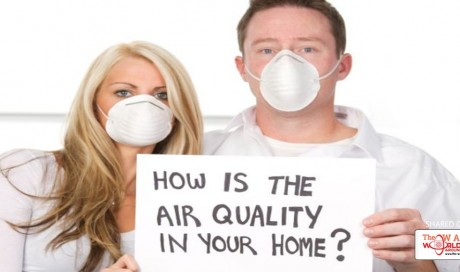 6 Natural Ways to Purify Air at Home
