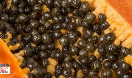 To Detoxify Liver, Kidneys And Heal Digestive Tract How To Eat Papaya Seeds To Detoxify Liver, Kidneys And Heal Digestive Tract