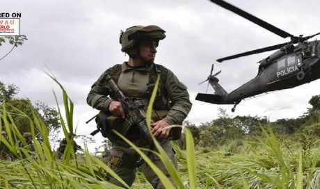 Colombia Producing More Cocaine Than Ever Before, UN Figures Show