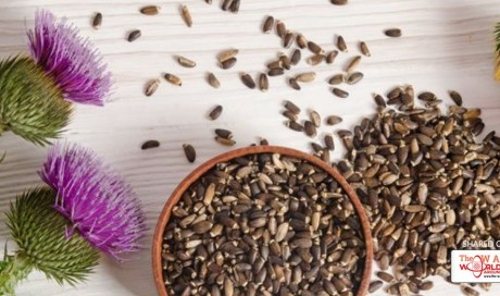 7 Amazing Benefits of Milk Thistle: For Strong Immunity & Better Digestion