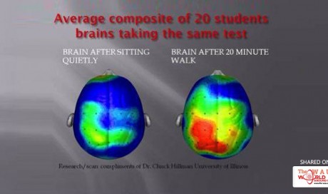 Walk Before Every Exam To Improve Your Memory Recall And Score Better