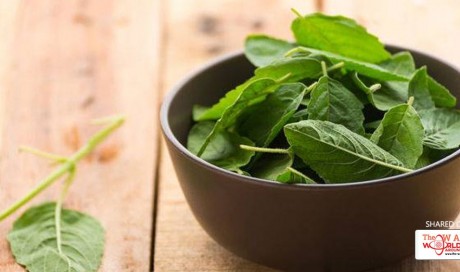 Why You Should Include Tulsi In Your Diet
