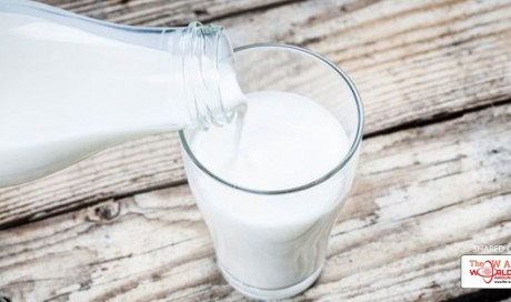 Lactose Intolerance Versus Milk Allergy: The Difference Worth Knowing
