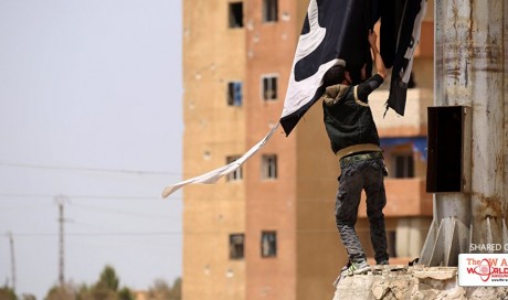 Thousands of Daesh Terrorists Remain in Iraq, Syria, Despite Fall of Mosul