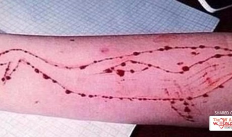 This Mumbai suicide is India's first Blue-Whale suicide challenge death?