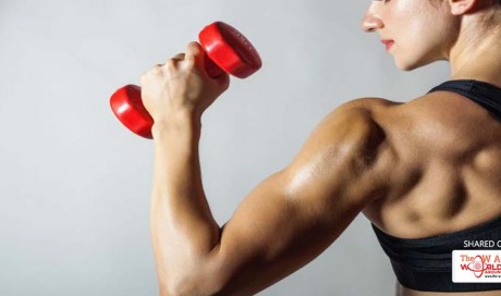 Muscle Gain Is Good, But Can You Have Too Much Muscle?