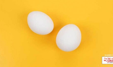 Are Egg Whites Healthier Than Egg Yolks?