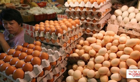 Europe eggs scandal hits Hong Kong after unsafe level of insecticide confirmed