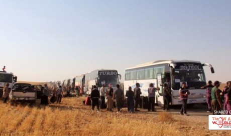 Syrian Regime Releases 104 Nusra Captives in Keep with Arsal Deal