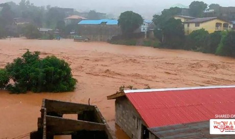 312 dead in Sierra Leone mudslides and flooding
