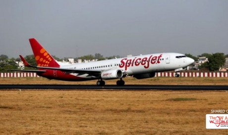   Humanity is dead! Para-tennis player hurt after SpiceJet crew's ill treatment