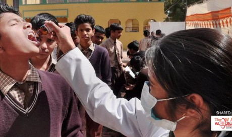 Swine flu kills 208 in west Indian state of Gujarat this year, over 900 hospitalised