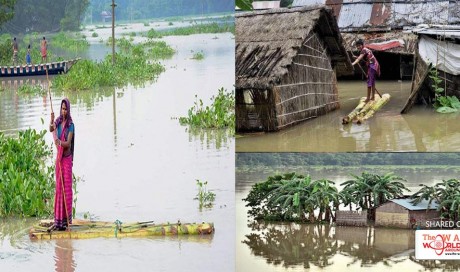 Bihar Floods Death Toll Crosses 300, Situation Remains Grim in Assam, Uttar Pradesh