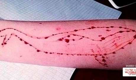 Blue Whale challenge game: Delhi HC seeks response from Facebook, Google and Yahoo to take down links