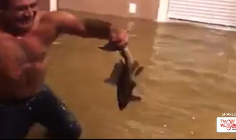 Man Goes Fishing In Home Flooded By Hurricane Harvey. Video Is Viral