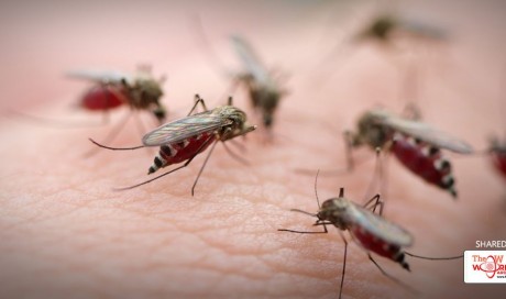 5 reasons mosquitoes bite you more than others