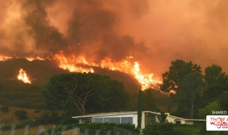  Largest Fire In Los Angeles History Forces Hundreds To Evacuate