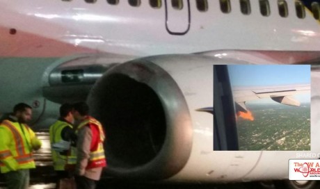 Plane makes emergency landing after flames come out of engine following bird strike