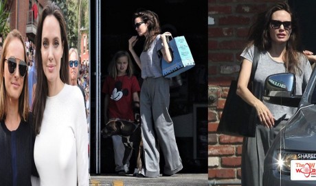 Doting mom Angelina Jolie takes daughter Vivienne to pet store in LA after opening up about year off from show business