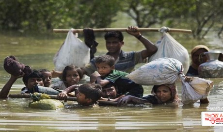 World must act to end the violence against Rohingya community in Myanmar