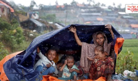 Myanmar army chief urges unity over Rohingya ‘issue’