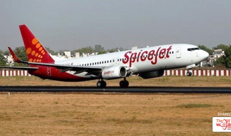 SpiceJet To Launch Four New Domestic Flights In October