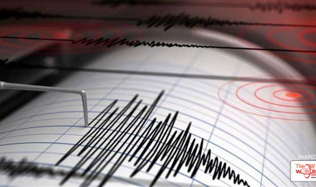  Medium-Intensity Earthquake Hits Srinagar, No Casualties Reported