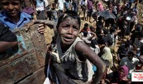 Terror watch being kept on Rohingya refugee influx