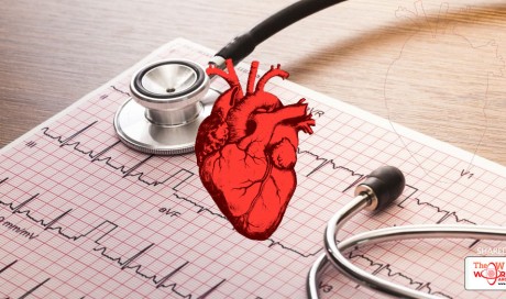 Can You Reverse Heart Disease?