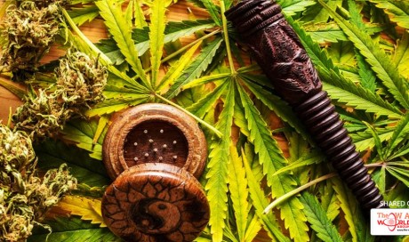 Be aware or beware: Cannabis extract may increase cancer risk
