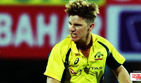 India vs Australia, 2nd T20I: What Prompted Adam Zampa's Wild Celebration After MS Dhoni's Wicket