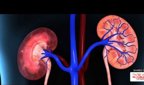 These 10 Dangerous Habits Damage Your Kidneys Every Day