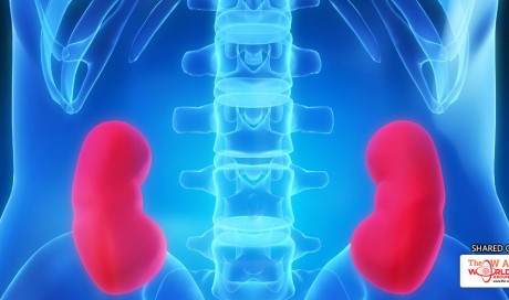 8 Outstanding Symptoms of Kidney Failure You Need to Know to Control Them