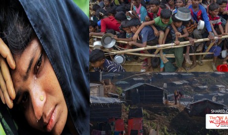 India says Myanmar must take back Rohingya Muslims