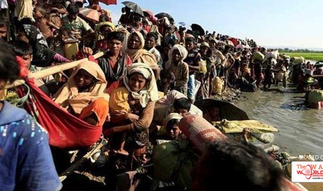  Bangladesh Says Rohingya Arrivals 'Untenable' As Thousands Arrive Daily