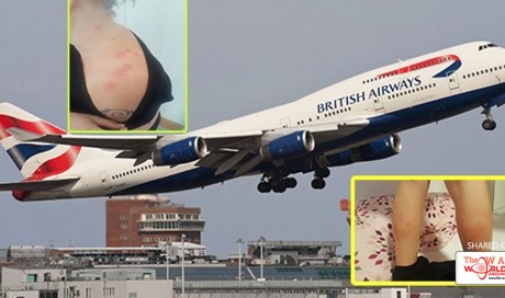 British Airways apologizes to bedbug-bitten passengers aboard London Flight