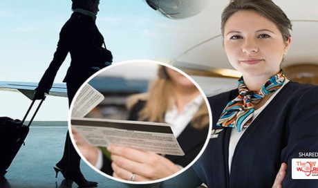 3 Unbelievable Myths About Flight Attendants