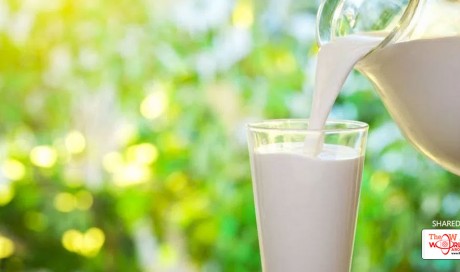 Consuming three servings of low-fat milk daily ups Parkinson's risk