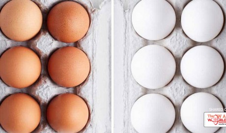 Brown Eggs Vs White Eggs ! Which Are Healthier ?